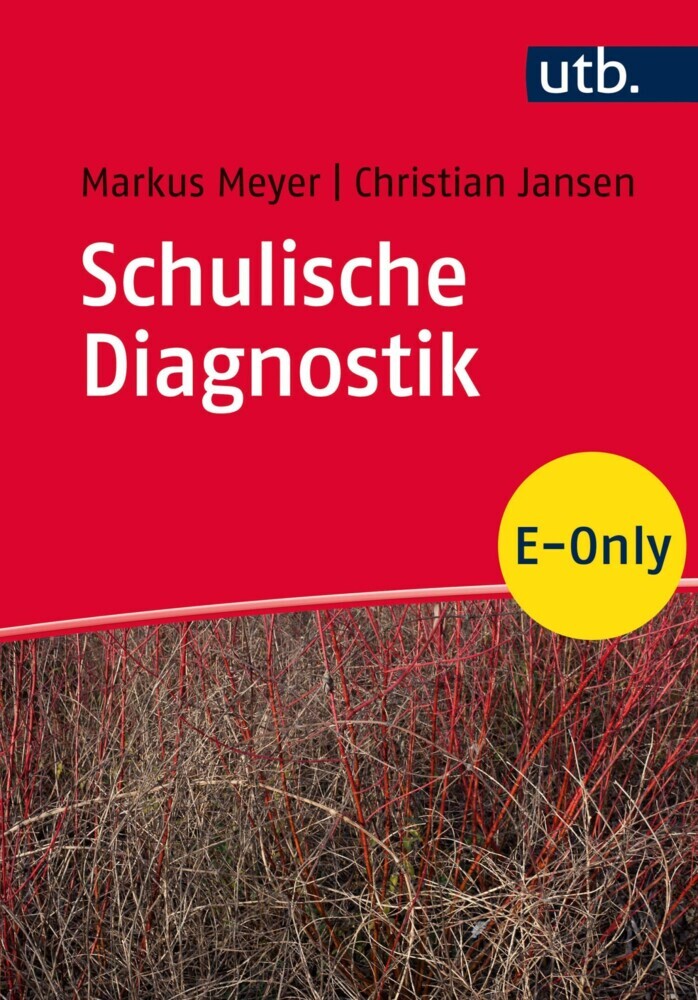 Schulische Diagnostik main product photo