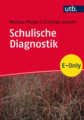Schulische Diagnostik
