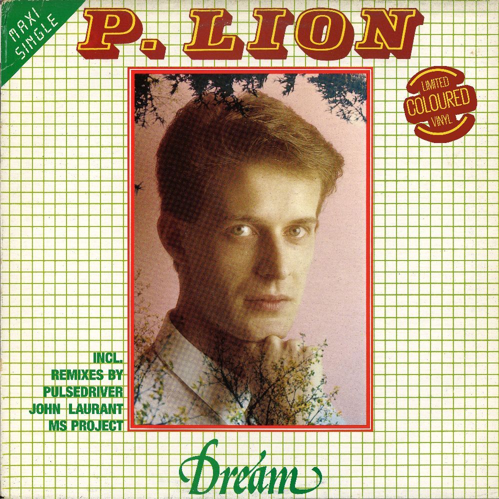 Dream, 1 Schallplatte (Maxi Vinyl) main product photo