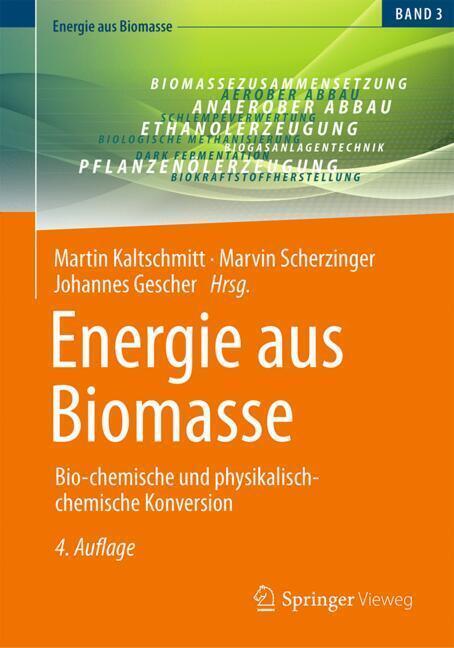 Energie aus Biomasse main product photo