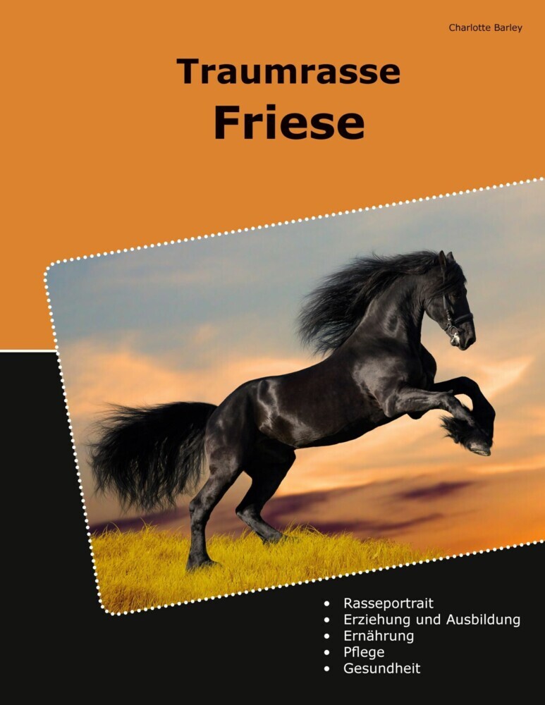 Traumrasse Friese main product photo