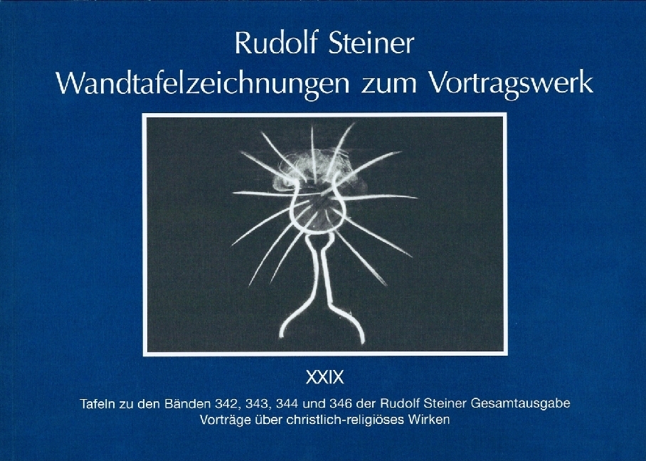 Wandtafelzeichnungen zum Vortragswerk, Bd. XXIX main product photo