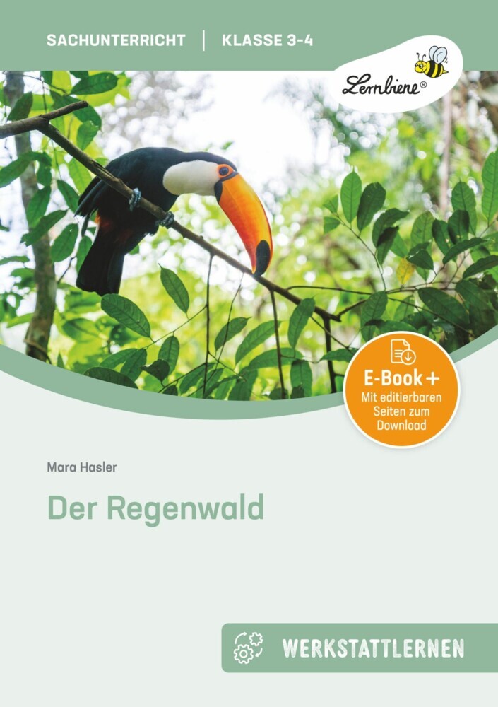 Der Regenwald main product photo