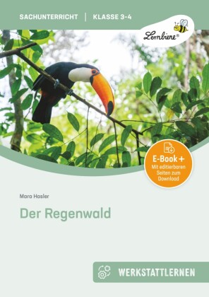 Der Regenwald