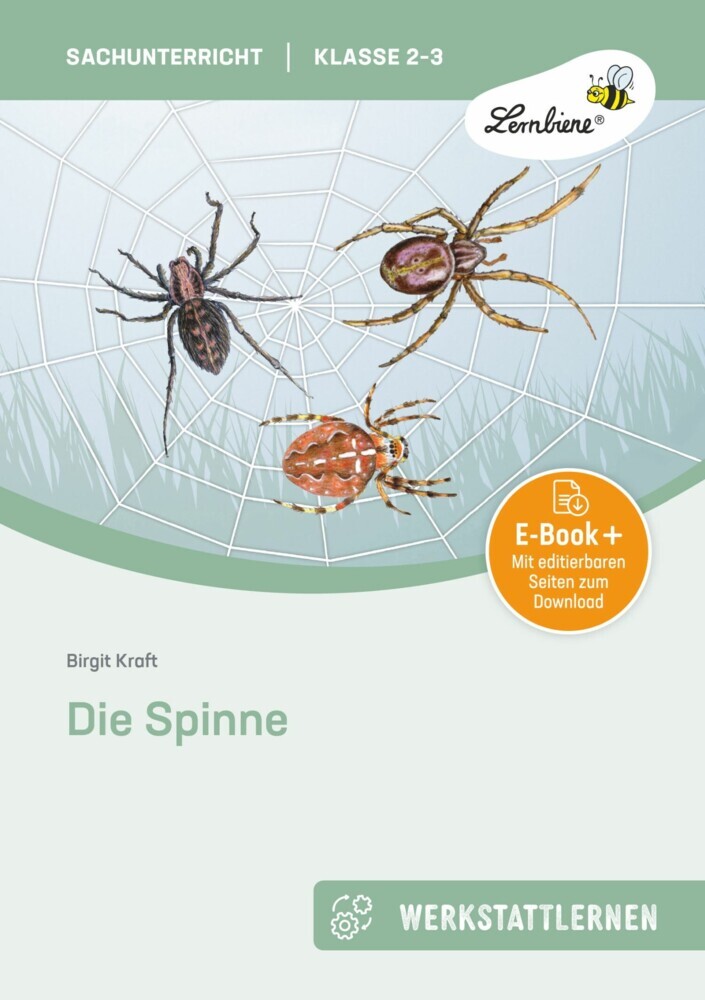 Die Spinne main product photo