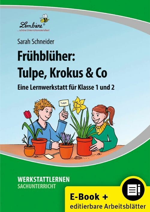 Frühblüher: Tulpe, Krokus & Co main product photo