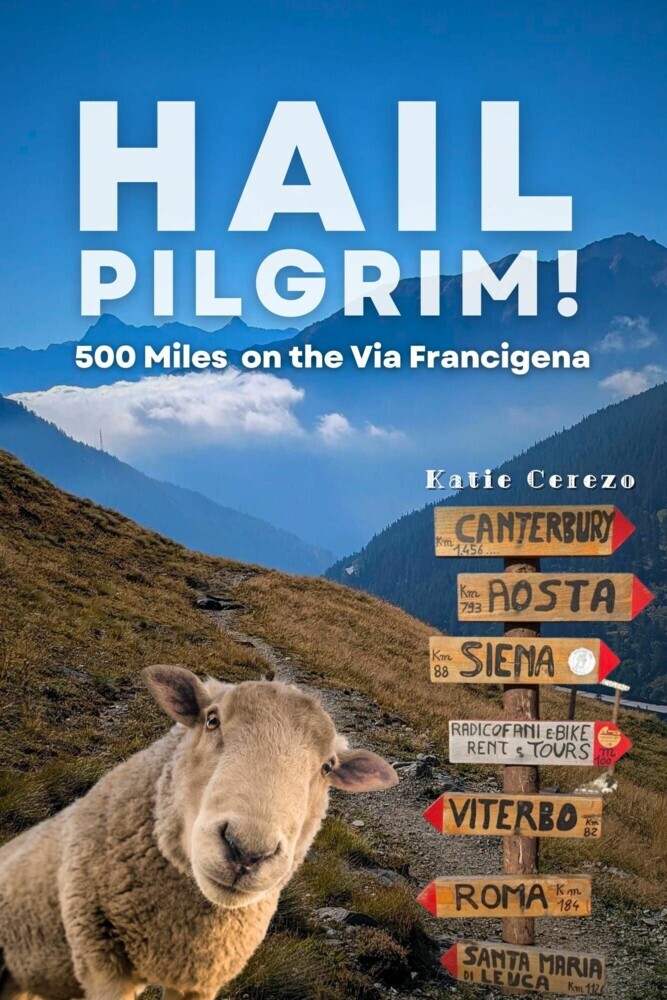 Hail Pilgrim! main product photo