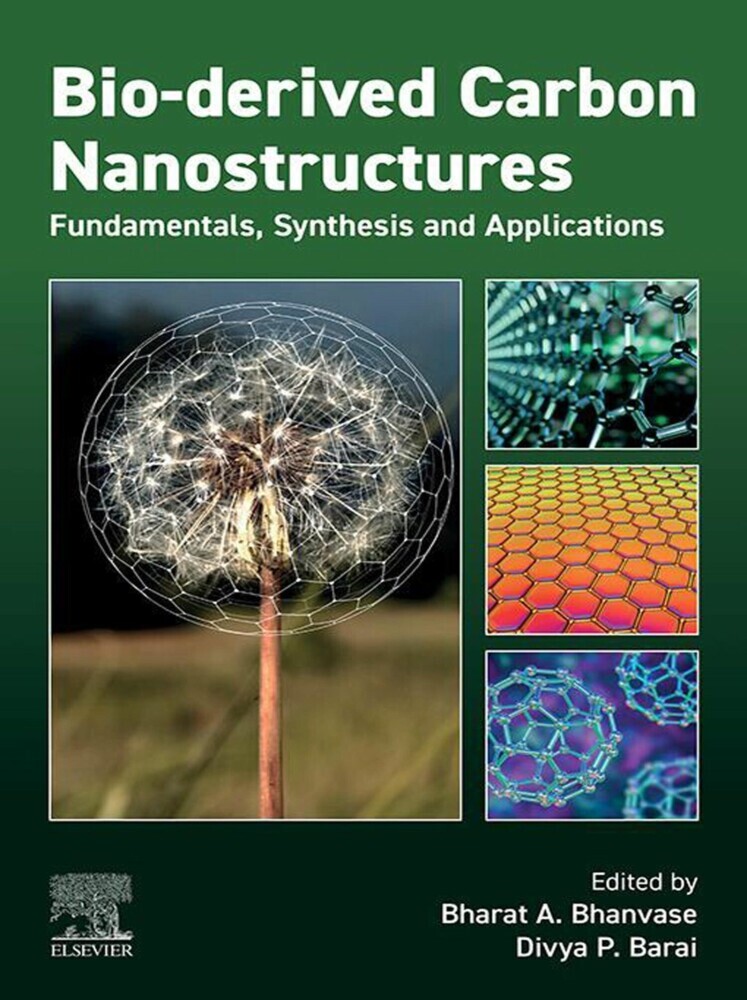 Bio-derived Carbon Nanostructures main product photo