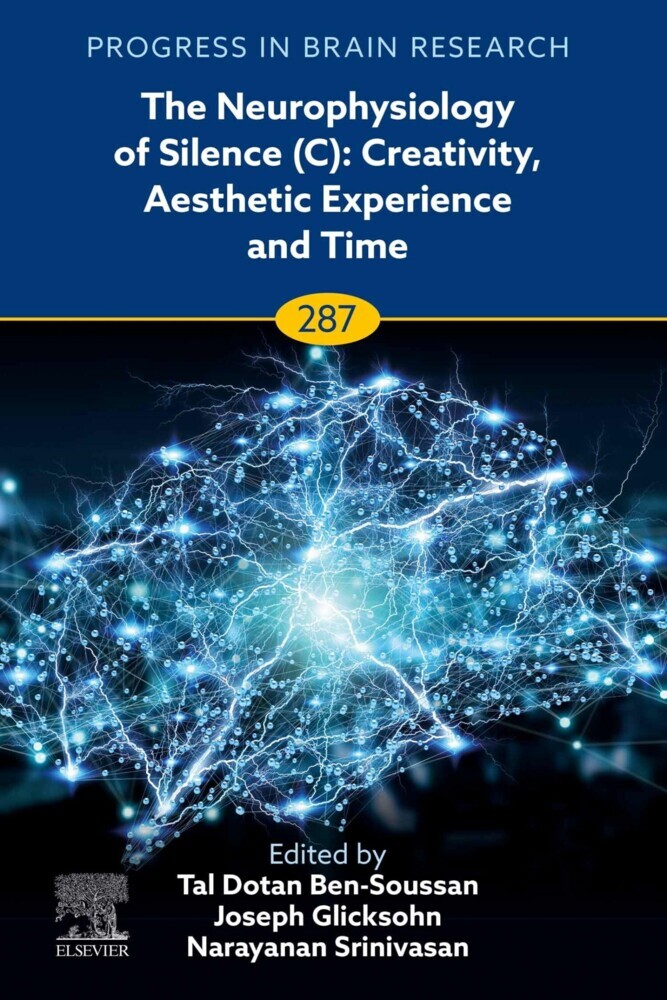 The Neurophysiology of Silence (C): Creativity, Aesthetic Experience and Time main product photo
