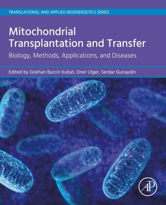 Mitochondrial Transplantation and Transfer