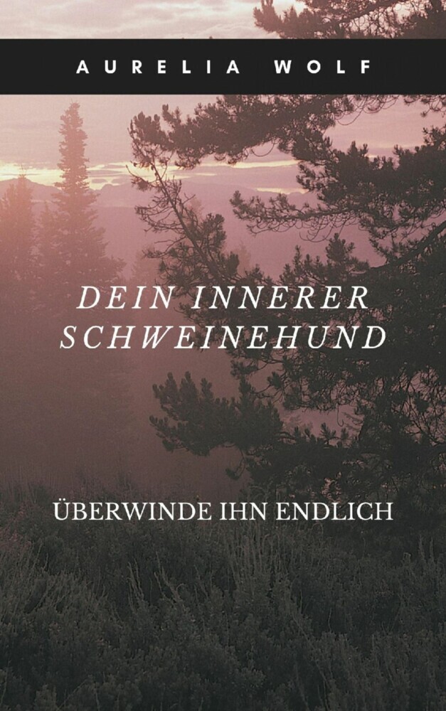 Dein innerer Schweinehund main product photo