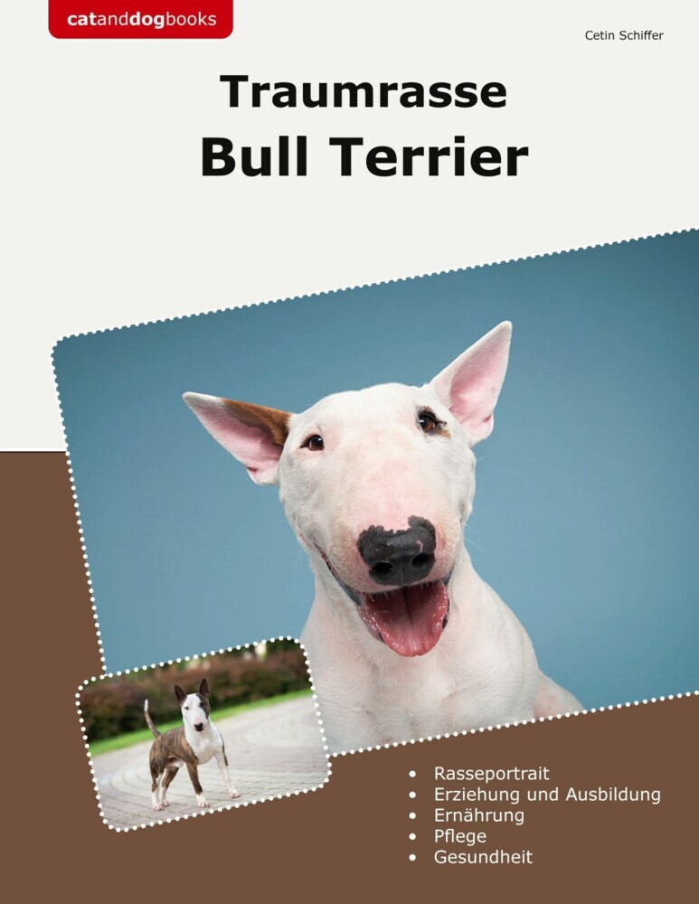 Traumrasse Bull Terrier main product photo