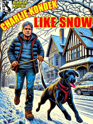 Like Snow