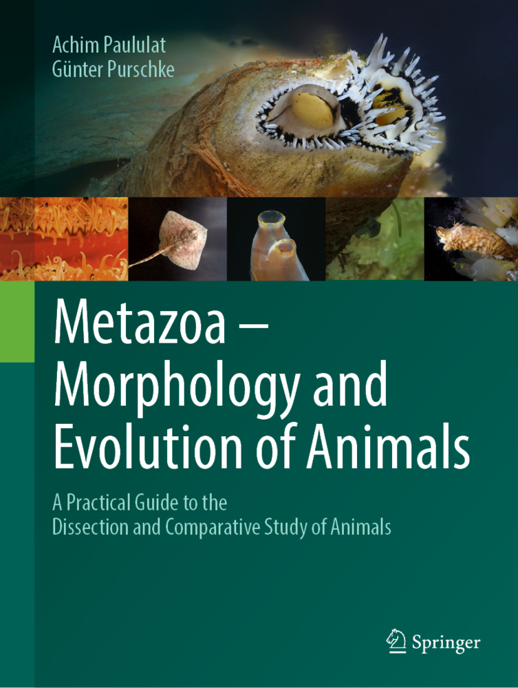 Metazoa - Morphology and Evolution of Animals main product photo