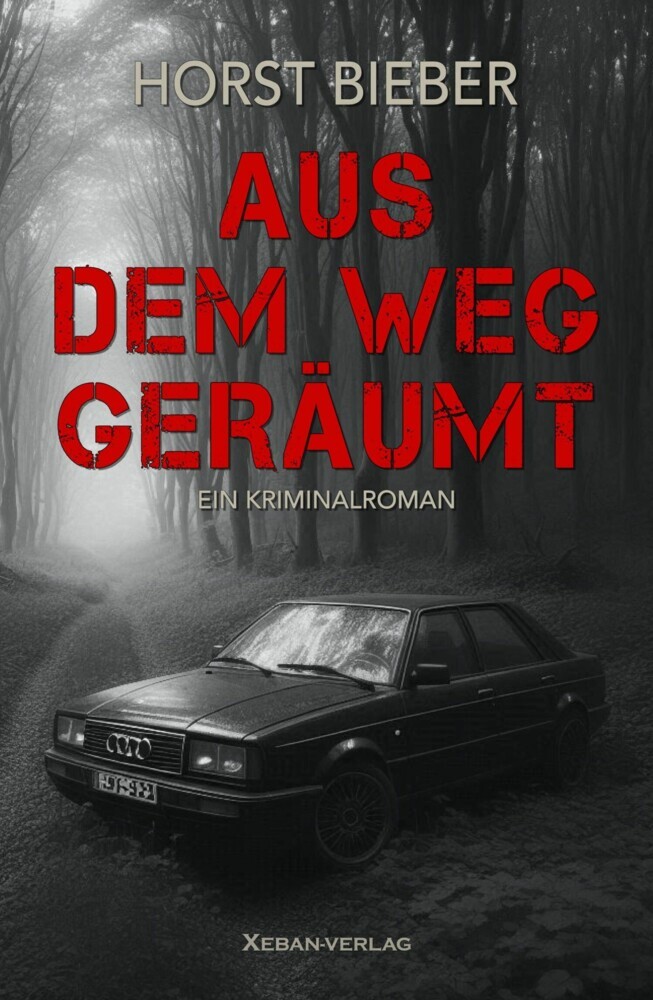 Aus dem Weg geräumt main product photo