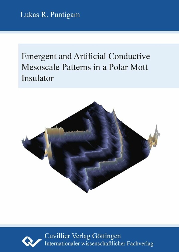 Emergent and artificial conductive mesoscale patterns in a polar Mott insulator main product photo