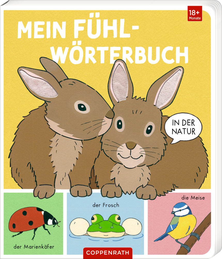 Mein Fühl-Wörterbuch main product photo