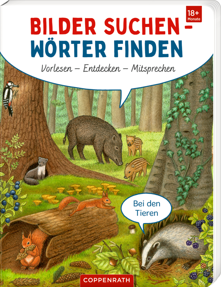 Bilder suchen - Wörter finden: Vorlesen - Entdecken - Mitsprechen main product photo