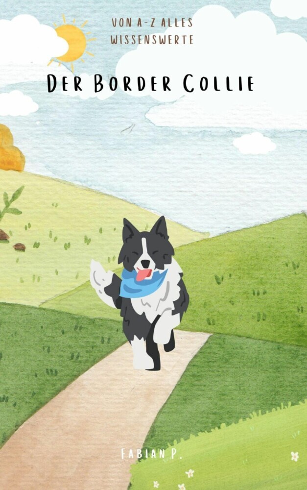 Der Border Collie main product photo