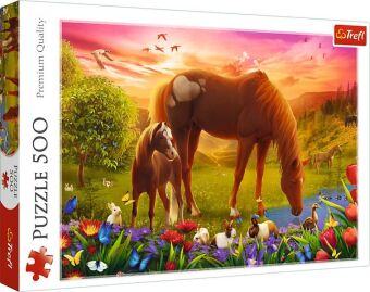 Puzzle 500  Pferde auf der Wiese