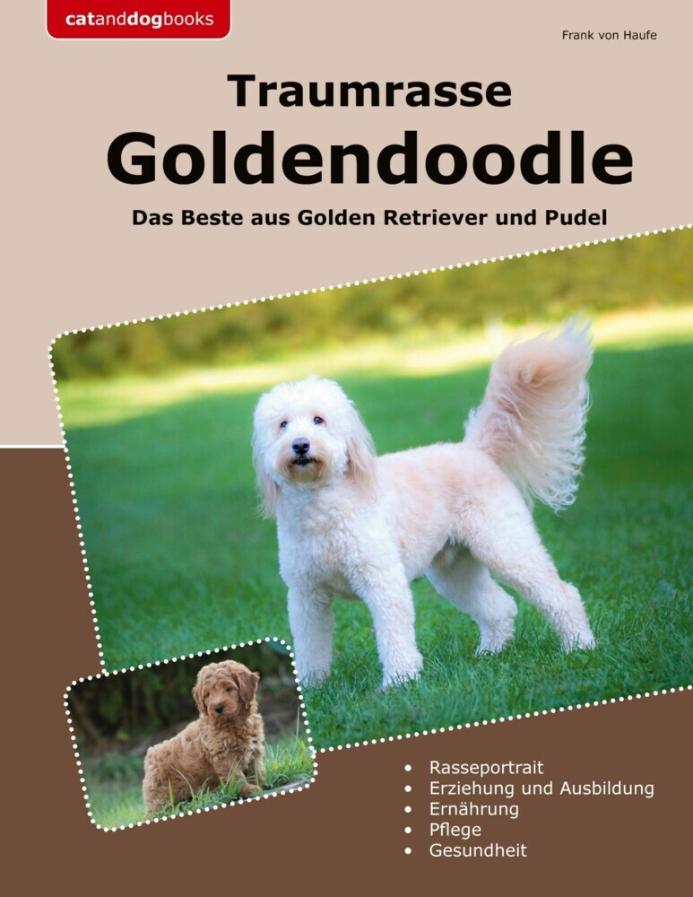 Traumrasse Goldendoodle main product photo