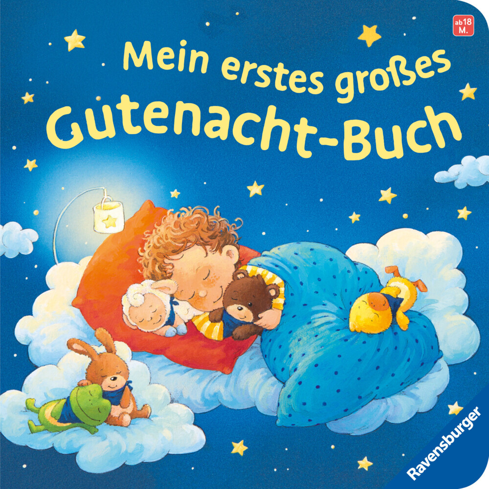 Mein erstes großes Gutenacht-Buch main product photo