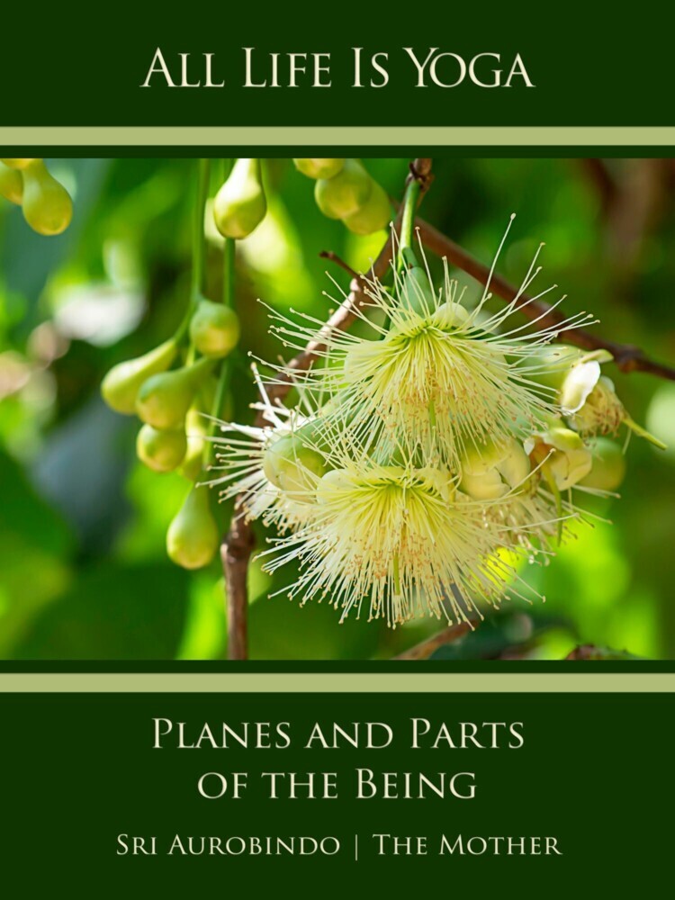 All Life Is Yoga: Planes and Parts of the Being main product photo