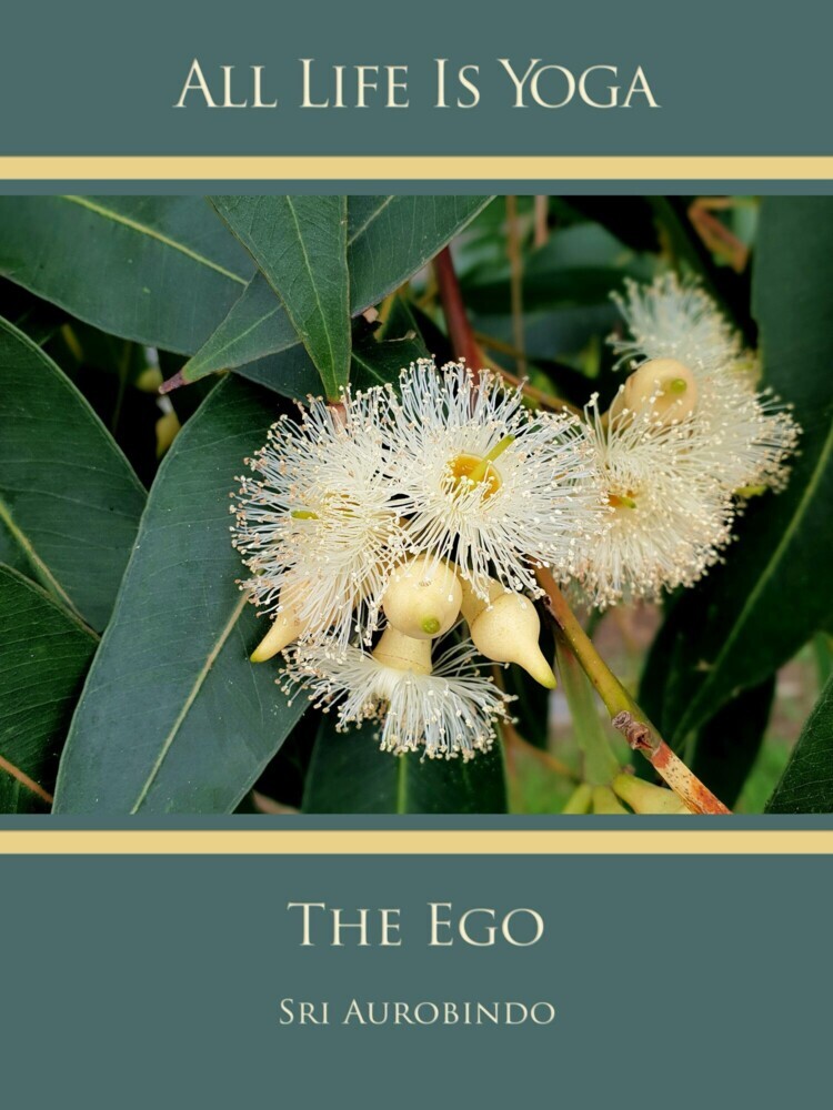 All Life Is Yoga: The Ego main product photo