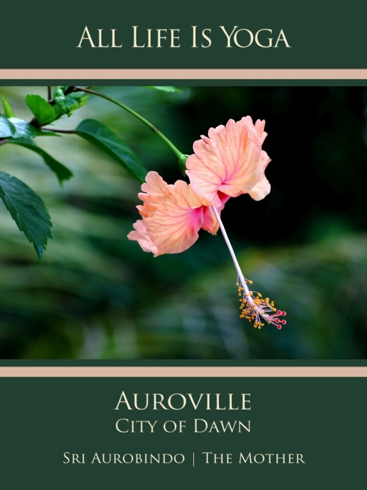 All Life Is Yoga: Auroville - City of Dawn main product photo
