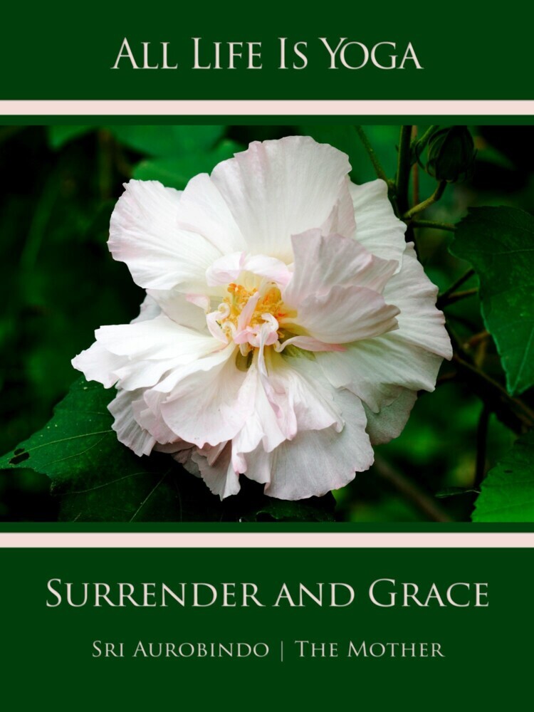 All Life Is Yoga: Surrender and Grace main product photo