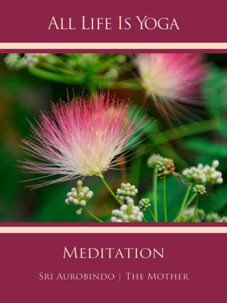 All Life Is Yoga: Meditation main product photo