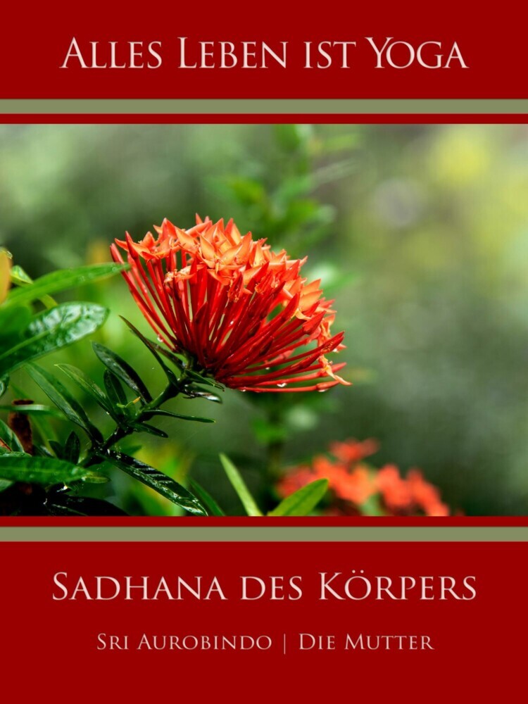 Sadhana des Körpers main product photo