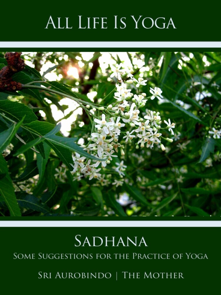 All Life Is Yoga: Sadhana main product photo