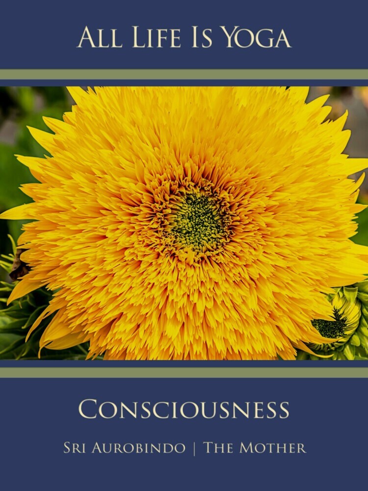 All Life Is Yoga: Consciousness main product photo