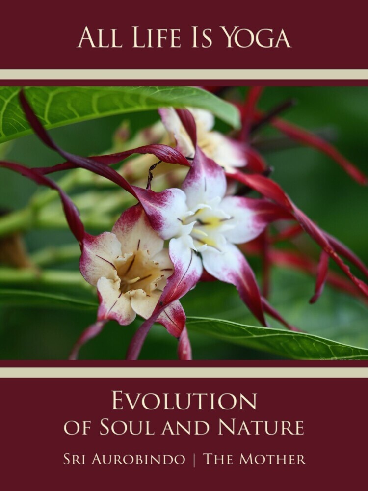 All Life Is Yoga: Evolution of Soul and Nature main product photo