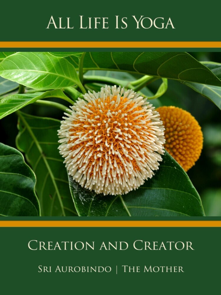 All Life Is Yoga: Creation and Creator main product photo