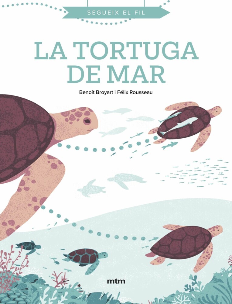 La tortuga de mar main product photo