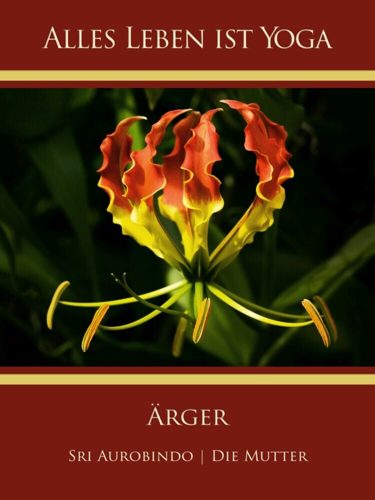 Ärger main product photo