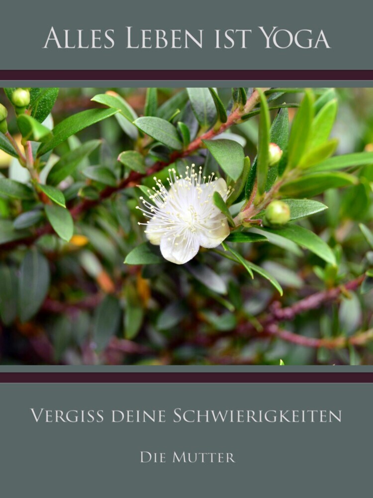 Vergiss deine Schwierigkeiten main product photo