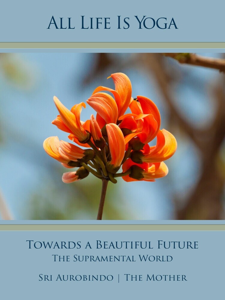 All Life Is Yoga: Towards a Beautiful Future main product photo