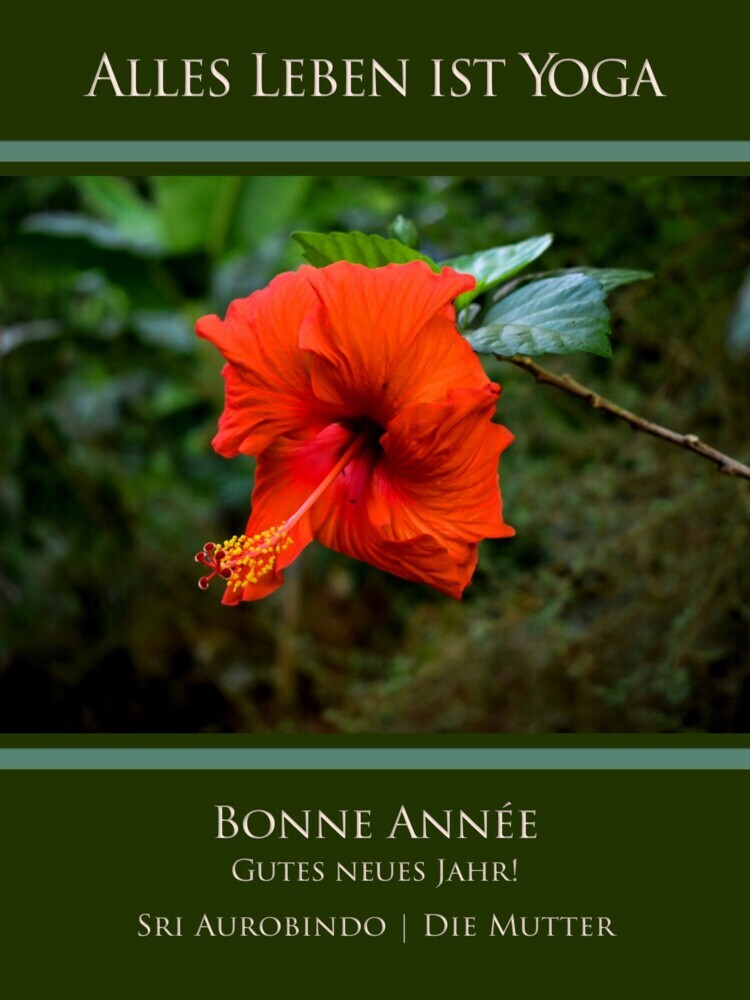Bonne Année - Gutes neues Jahr! main product photo
