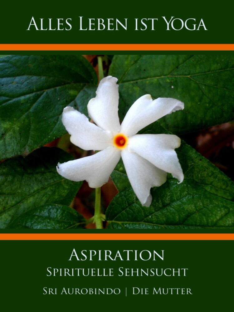 Aspiration main product photo