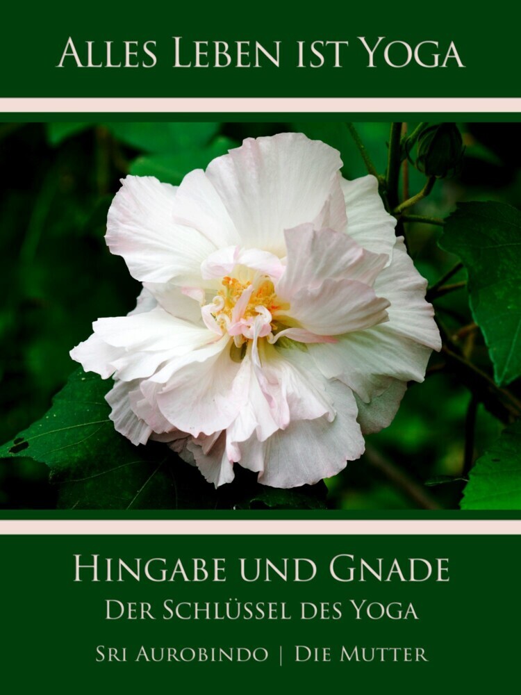 Hingabe und Gnade main product photo