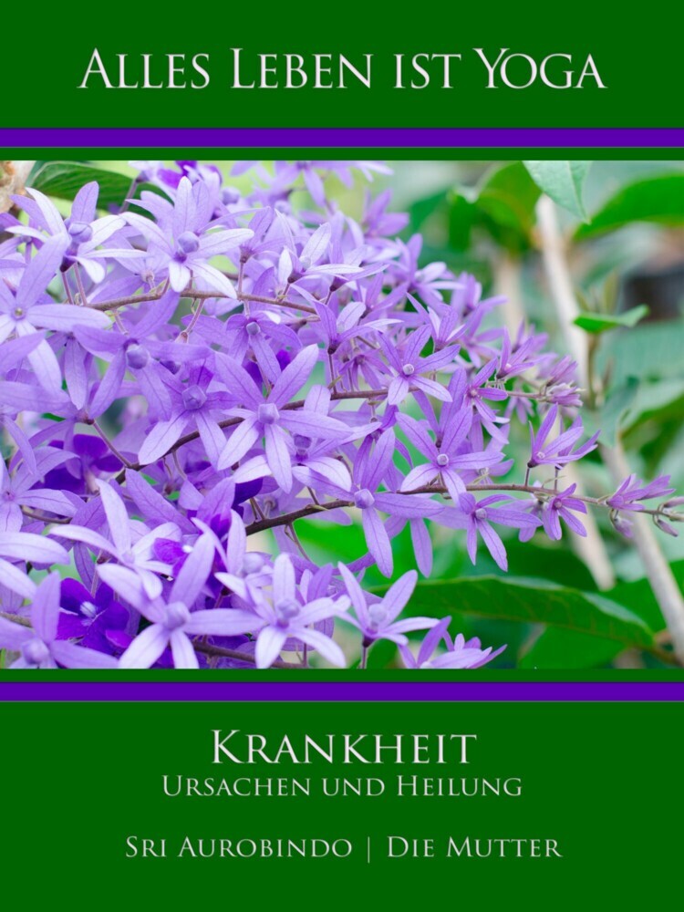 Krankheit - Ursachen und Heilung main product photo
