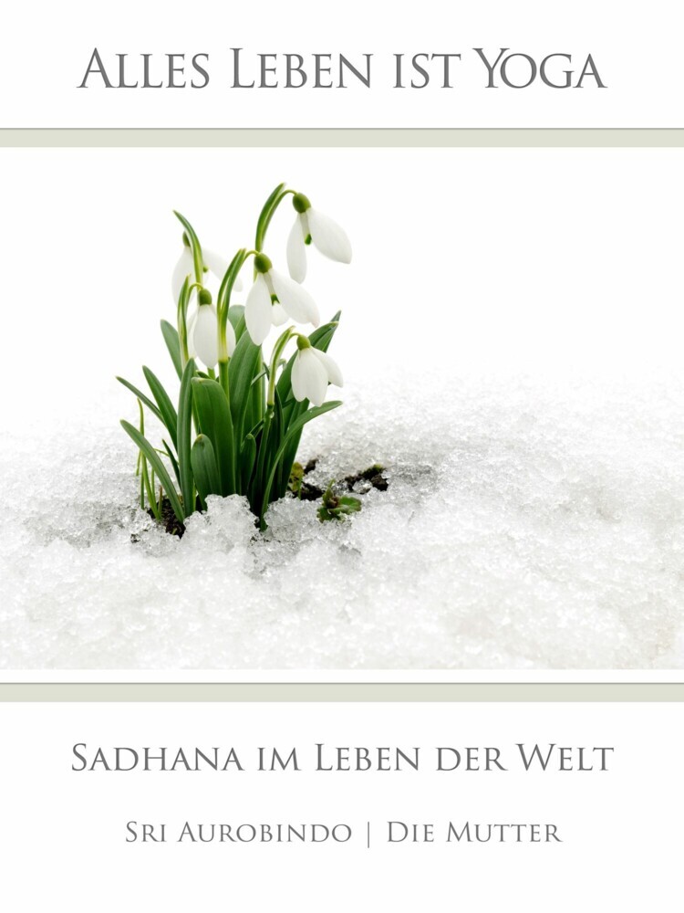 Sadhana im Leben der Welt main product photo