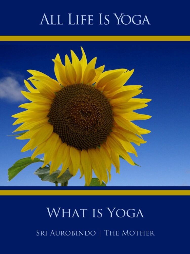 All Life Is Yoga: What is Yoga main product photo