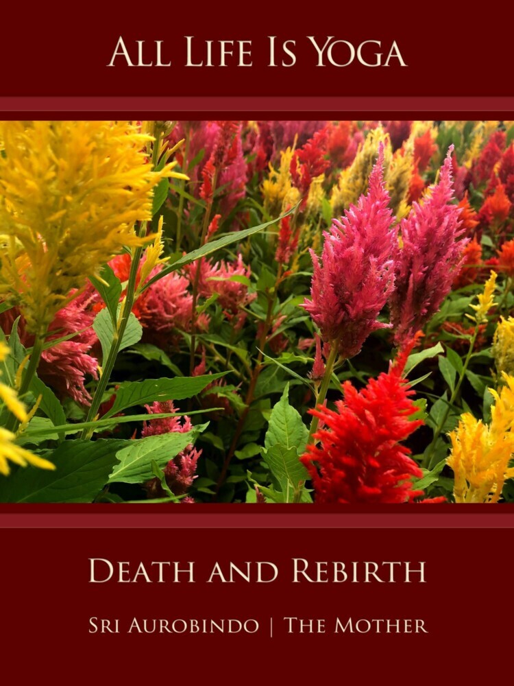 All Life Is Yoga: Death and Rebirth main product photo