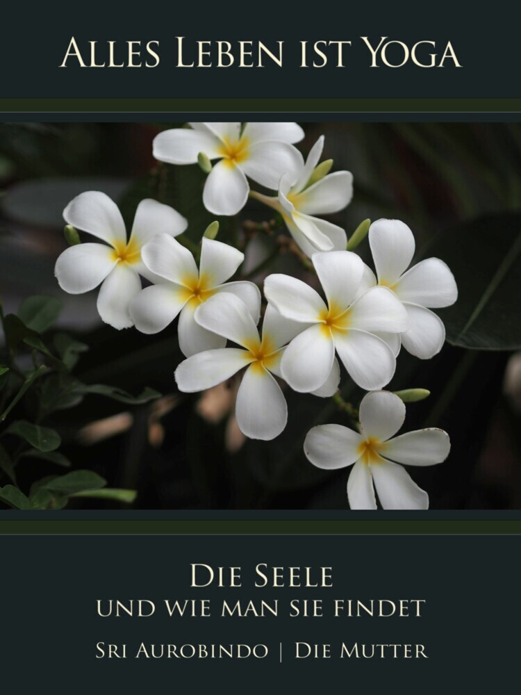 Die Seele und wie man sie findet main product photo
