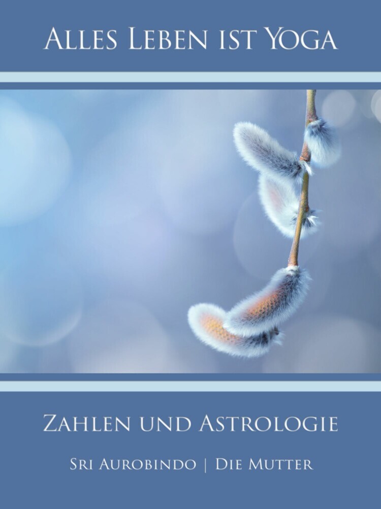 Zahlen und Astrologie main product photo