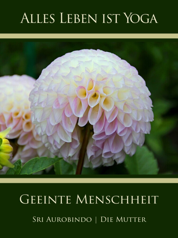 Geeinte Menschheit main product photo